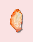 Orange Carnelian Slab With Beautiful Banding