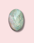 Pretty Sea Jasper Palm Stone