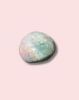 Pretty Sea Jasper Palm Stone