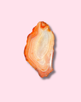 Orange Carnelian Slab With Beautiful Banding - Made in Mother Nature