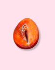 Scarlet Carnelian Egg With Druzy Cave - Made in Mother Nature