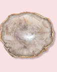 Petrified Wood Slice - Made in Mother Nature