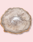 Petrified Wood Slice - Made in Mother Nature