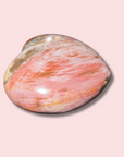 Stunning Pink "Galaxy" Petrified Wood Heart - Made in Mother Nature