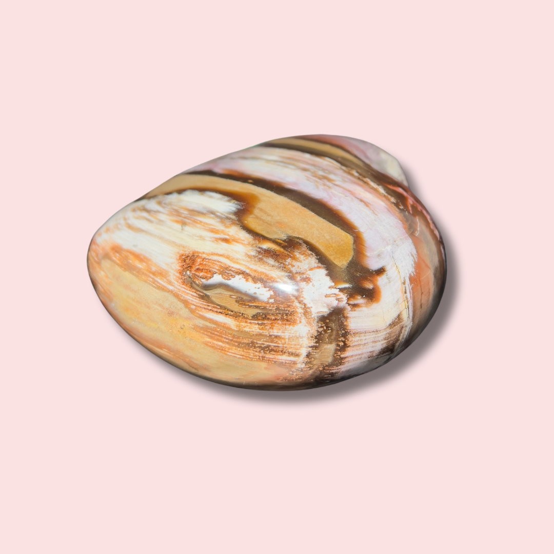Beautiful Pink &quot;Chocolate&quot; Banded Petrified Wood Heart - Made in Mother Nature