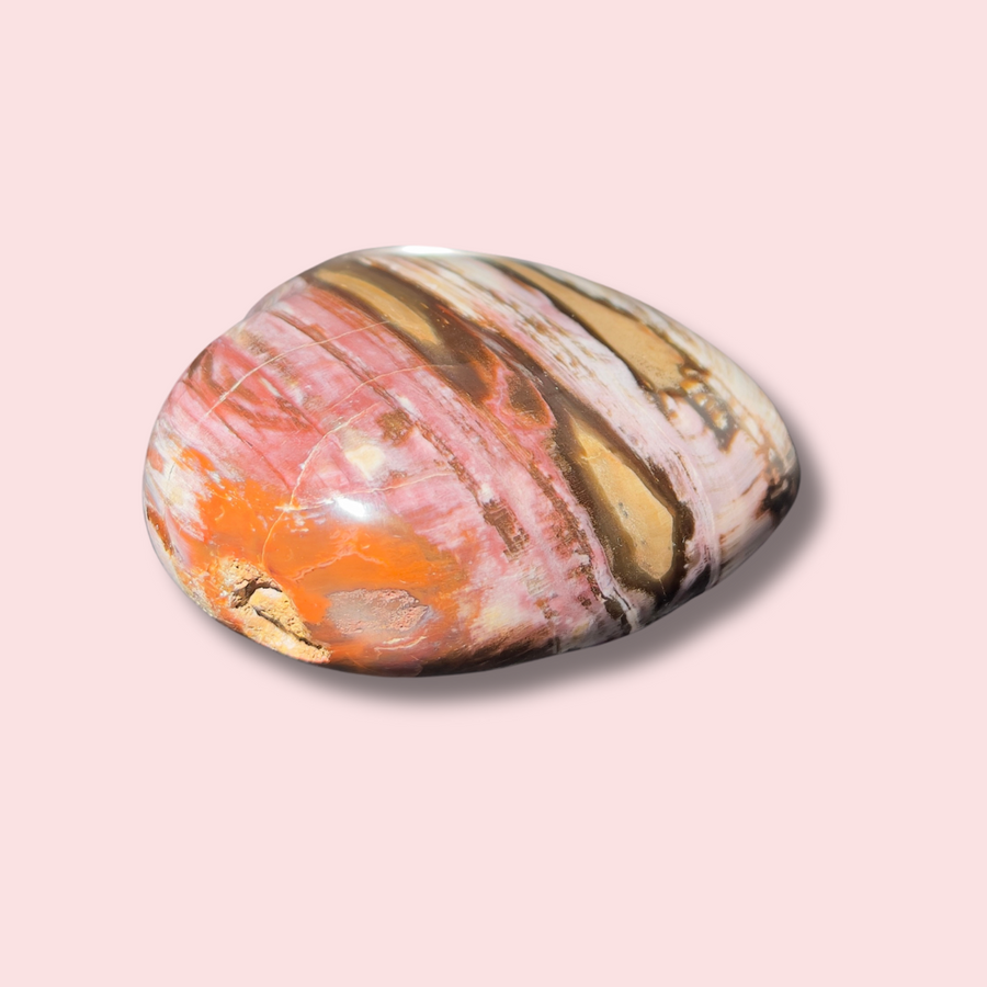 Beautiful Pink "Chocolate" Banded Petrified Wood Heart - Made in Mother Nature