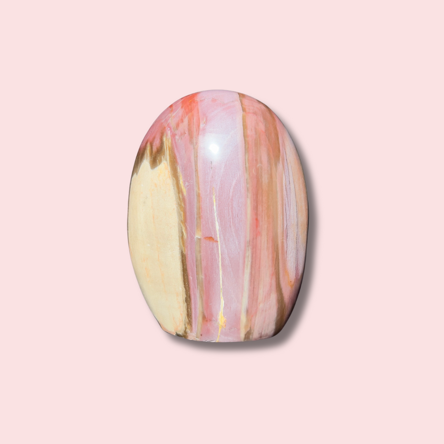 Pretty Pastel Pink Petrified Wood Freeform - Made in Mother Nature