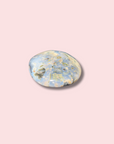 Sea Jasper Palm Stone - Made in Mother Nature