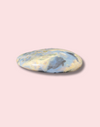 Sea Jasper Palm Stone - Made in Mother Nature